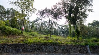 Land for sale in Barcelos, Portugal — €103,000