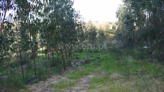 Land for sale in Fafe, Portugal — €60,000
