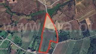 Land for sale in Torre de Moncorvo, Portugal — €235,000