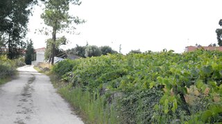 Land for sale in Barcelos, Portugal — €56,500