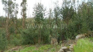 Land for sale in Póvoa de Lanhoso, Portugal — €35,000