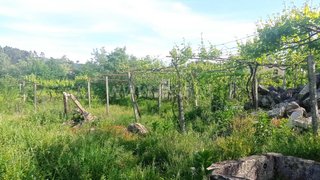Land for sale in Fafe, Portugal — €125,000