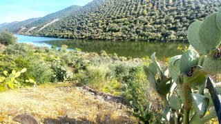 Land for sale in Freixo de Espada à Cinta, Portugal — €99,000