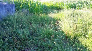 Land for sale in Barcelos, Portugal — €37,000