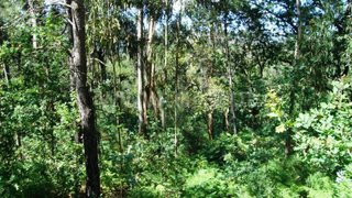 Terreno em Póvoa de Lanhoso