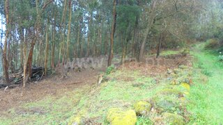 Land for sale in Barcelos, Portugal — €95,000