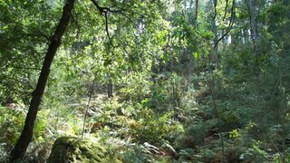 Terreno · 4900 m² · 30 000 €