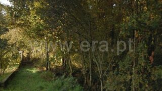 Terreno em Fafe