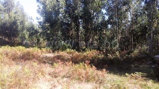 Land for sale in Vieira do Minho, Portugal — €57,000