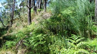 Land for sale in Póvoa de Lanhoso, Portugal — €8,000
