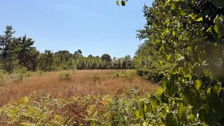 Land for sale in Fafe, Portugal — €75,000