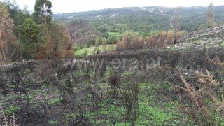 Land for sale in Fafe, Portugal — €45,000