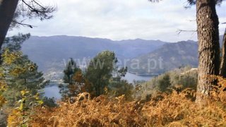 Land for sale in Vieira do Minho, Portugal — €25,000
