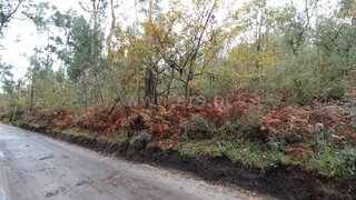 Land for sale in Barcelos, Portugal — €28,500