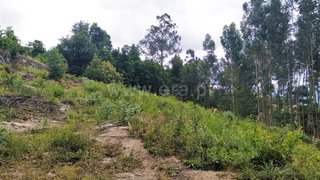 Land for sale in Terras de Bouro, Portugal — €99,000