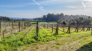 Land for sale in Barcelos, Portugal — €69,000