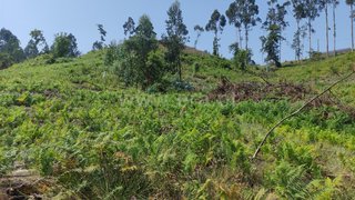 Land for sale in Celorico de Basto, Portugal — €66,500
