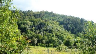Terreno em Póvoa de Lanhoso