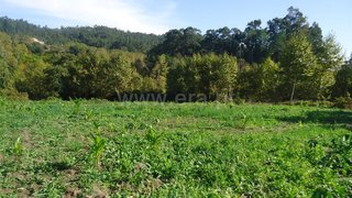 Land for sale in Fafe, Portugal