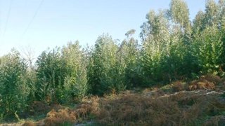 Land for sale in Póvoa de Lanhoso, Portugal — €37,500