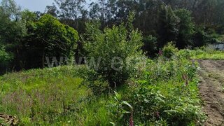 Land for sale in Vila Verde, Portugal — €30,000
