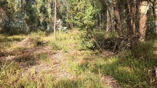 Land for sale in Barcelos, Portugal — €165,000