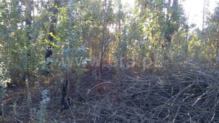 Land for sale in Fafe, Portugal — €26,500
