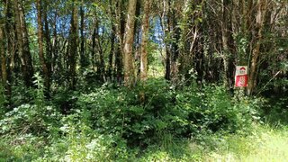 Land for sale in Fafe, Portugal — €11,650