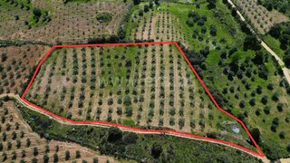 Land for sale in Mirandela, Portugal — €30,000