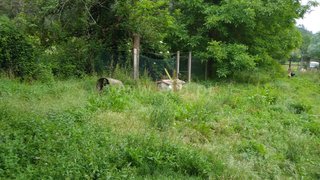 Land for sale in Guimarães, Portugal — €125,000