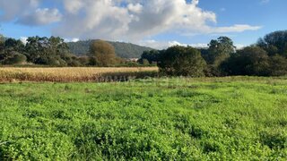 Land for sale in Esposende, Portugal — €37,000