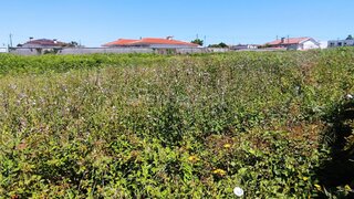 Terreno de 6060 m² em Braga