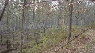 Land for sale in Fafe, Portugal — €15,000