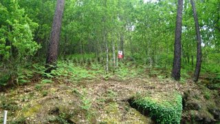Terreno em Guimarães