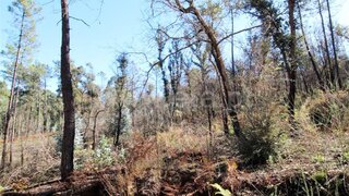 Land for sale in Barcelos, Portugal — €12,500