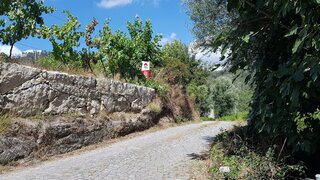 Land for sale in Celorico de Basto, Portugal — €65,000