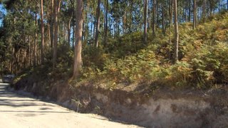 Land for sale in Fafe, Portugal — €50,000