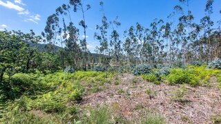 Land for sale in Barcelos, Portugal — €320,000