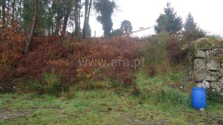 Terreno em Fafe