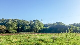 Terreno em Esposende