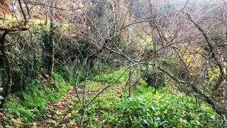 Land for sale in Vieira do Minho, Portugal — €57,000