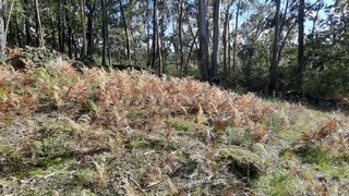 Land for sale in Fafe, Portugal — €27,500