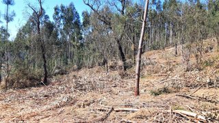 Land for sale in Barcelos, Portugal — €162,000
