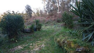 Land for sale in Barcelos, Portugal — €52,500