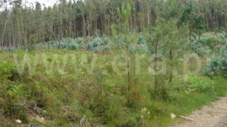Land for sale in Cabeceiras de Basto, Portugal — €75,000