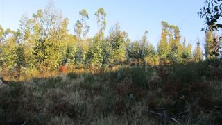 Land for sale in Fafe, Portugal — €22,500