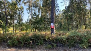 Land for sale in Esposende, Portugal — €50,000