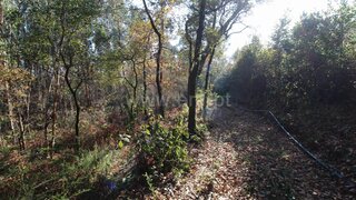 Land for sale in Barcelos, Portugal — €10,000