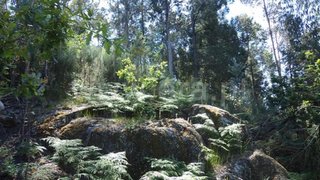 Land for sale in Fafe, Portugal — €15,000