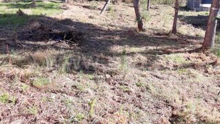 Land for sale in Barcelos, Portugal — €86,500